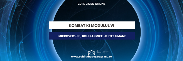 Curs: Kombat Ki – Modulul VI – Bucuresti – acces online (Seniori)